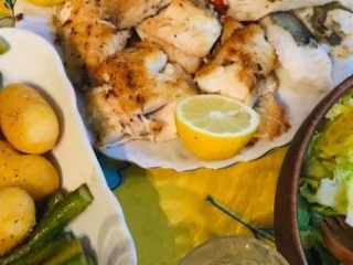 gemma client-dish3